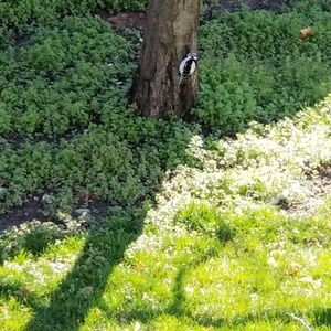 Meet your Posher, Edwin